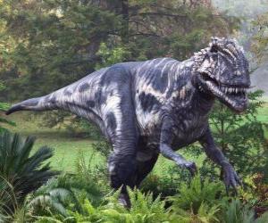 Puzzle Megalosaurus ήταν ένα δίποδο αρπακτικό περίπου 9 μέτρα μήκος και περίπου ένα τόνο βάρους